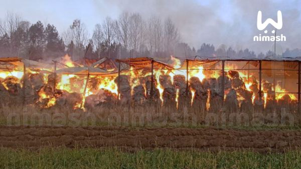 В Ковернинском районе загорелось сенохранилище