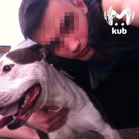 Въезд и выезд из Краснодара перекрыли для поисков напавшего на полицейского