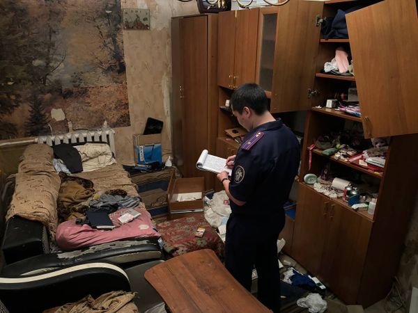 Житель Железногорска насмерть забил бабушку знакомого