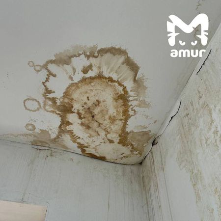 Педагогический институт ТОГУ закрыли в Хабаровске из-за ужасного состояния здания