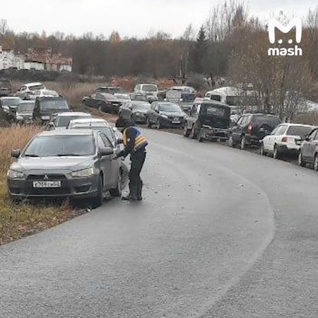 Форель на 100 млн рублей уплыла из рыбного хозяйства под Новгородом