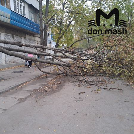 В Цимлянске прошёл шторм