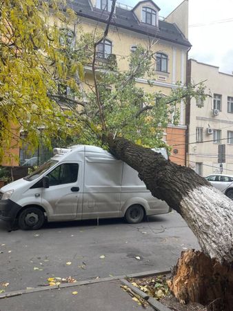 Ураган свалил в Ростове 22 дерева