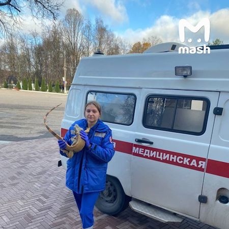 Микроавтобус с артистами цирка попал в самое милое ДТП в Брянске
