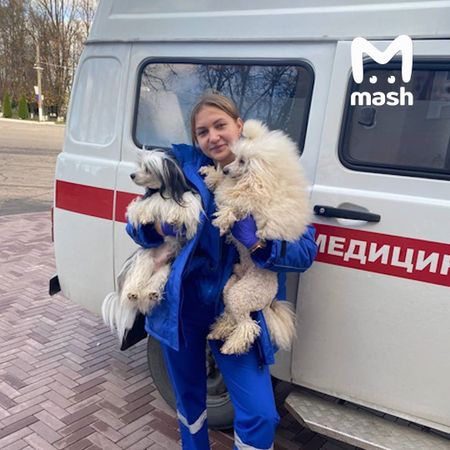 Микроавтобус с артистами цирка попал в самое милое ДТП в Брянске