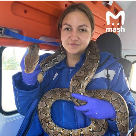 Микроавтобус с артистами цирка попал в самое милое ДТП в Брянске