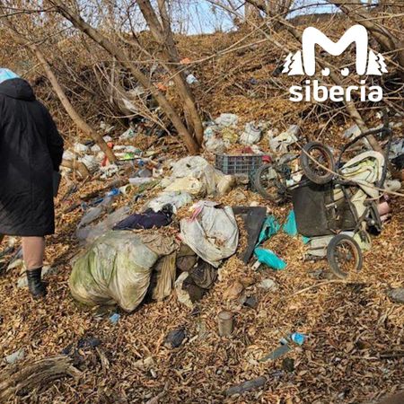 Достопримечательности новосибирского Хилка —  черепа, мусорные кучи и зловонные ручьи