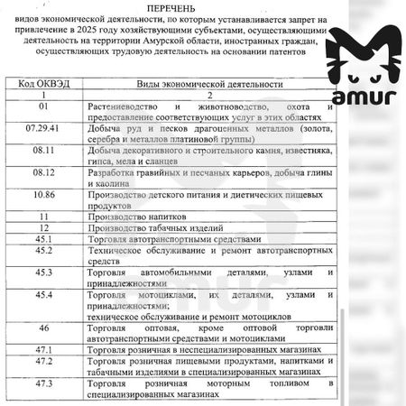 Мигрантам запретили доставлять заказы и ремонтировать машины в Приамурье