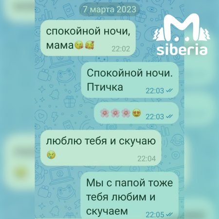Подросток в Новосибирской области сбежала от отца и мачехи