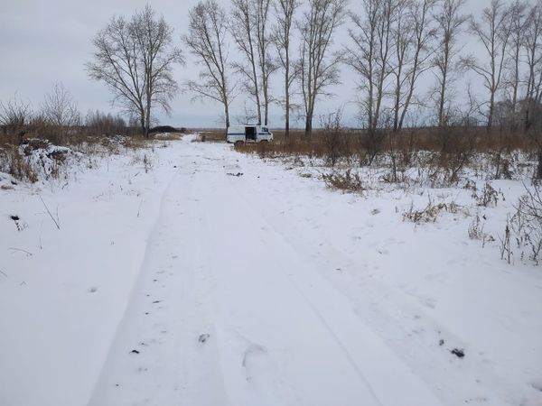 Женщину застрелили на охоте в Новосибирской области