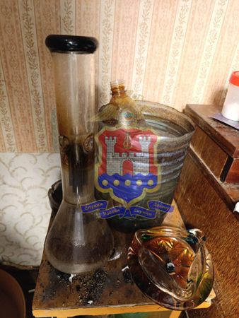 Калининградец вырастил в квартире несколько кустов конопли