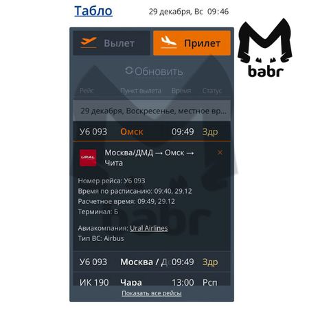 Борт, летевший из Москвы в Читу, пришлось сажать в Омске из-за двух буйных пассажиров