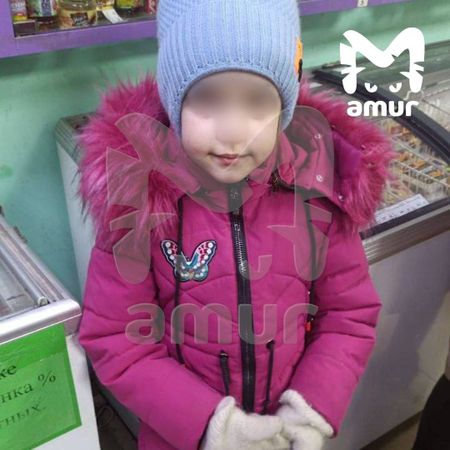 Жители Комсомольска-на-Амуре всем городом искали ребёнка, пропавшего в морозную ночь