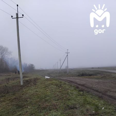 Убрать свалку с биоотходами в КБР не помогло обращение к Казбеку Кокову