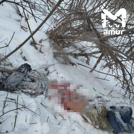 Тигр убил рыбака в селе Приморья