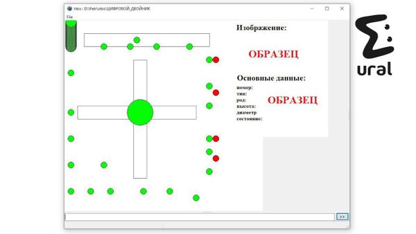 Челябинские учёные выяснили, что деревья с кривыми листьями плохо очищают воздух от смога