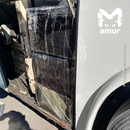 В туристическом автобусе, следовавшем из Хабаровска в Китай, нашли рога краснокнижных сайгаков