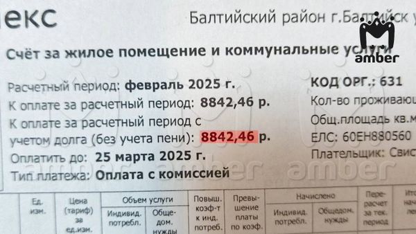 https://static.mash.ru/unsafe/rs:fit:600:450/czM6Ly9tYXNoL2ltYWdlLzIwMjUtMDMtMDcvYzhmYzlkYzctNDJkNS00MmUyLThlZTYtMmIwNTAxMDg4ZDZkLmpwZWc