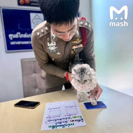 https://static.mash.ru/unsafe/rs:fit:600:450/czM6Ly9tYXNoL2ltYWdlLzIwMjUtMDUtMjEvODZmYmRiNTQtYTk2ZS00NDk3LWJjNDAtMjM0MTRhMTBhZTIwLmpwZWc