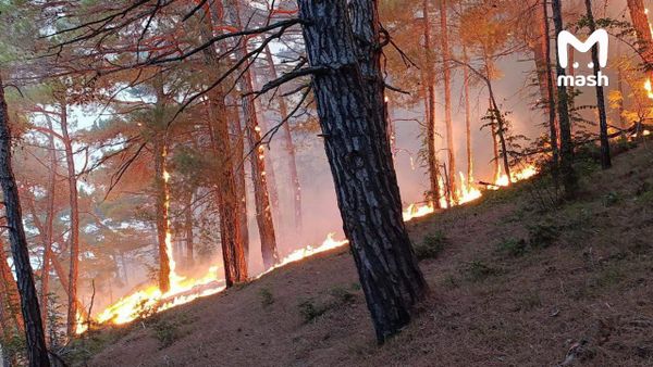 Из-за лесного пожара под Геленджиком больше 20 туристов застряли на пляже