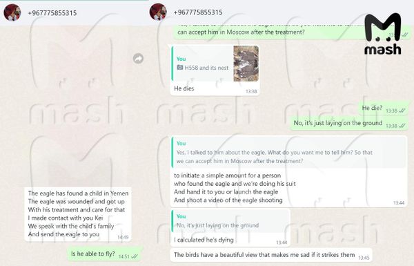 Арабские и азиатские охотники вылавливают на границе соколов и орлов и требуют у орнитологов из России выкуп