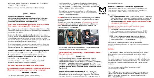 Бизнес-класс, куриный бульон и мужские носки: опубликован райдер певицы Монеточки*