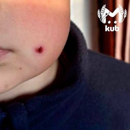 Фото: t.me/kub_mash