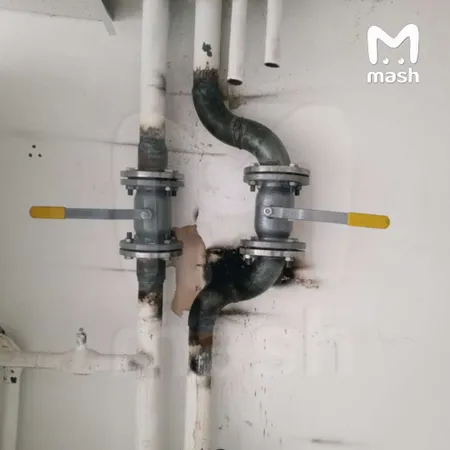 Крокодил из офиса телекомпании в Обнинске может умереть из-за отключения отопления