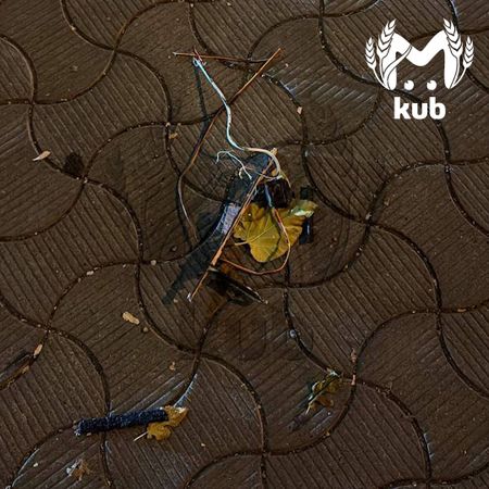 Жители Кубани весь день находят обломки дронов на улицах и в домах