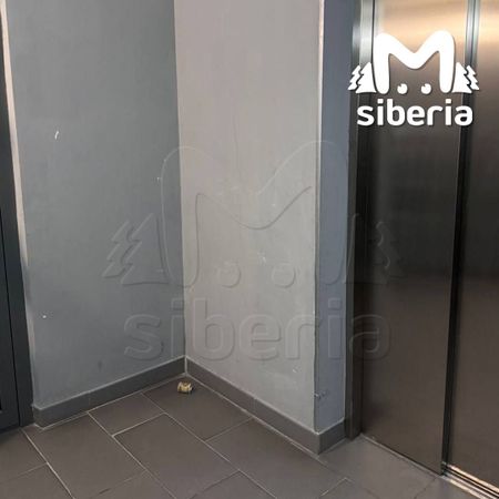 Пачку купюр с пугающей запиской нашли в новосибирской многоэтажке