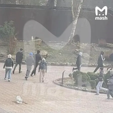 Один из рехабов сети "Антонов PRO" в Новой Москве выставили на продажу за 200 млн рублей