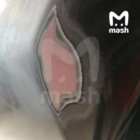 Владелец кроссовера Chery Tiggo обанкротил одного из их крупнейших офдилеров в Рязани