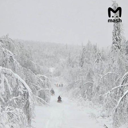 Спасатели установили местонахождение группы туристов, пропавших возле горы Ослянка