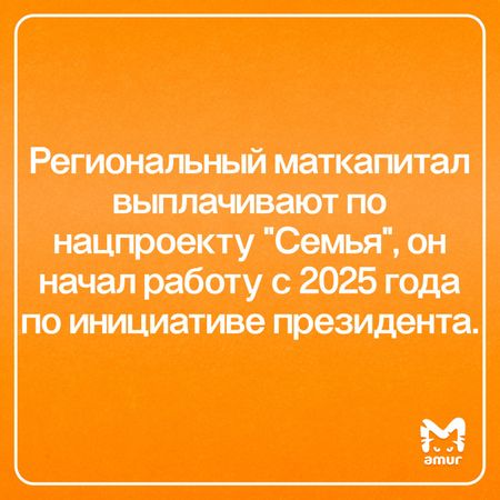 Статистика использования материнского капитала семьями Хабаровского края