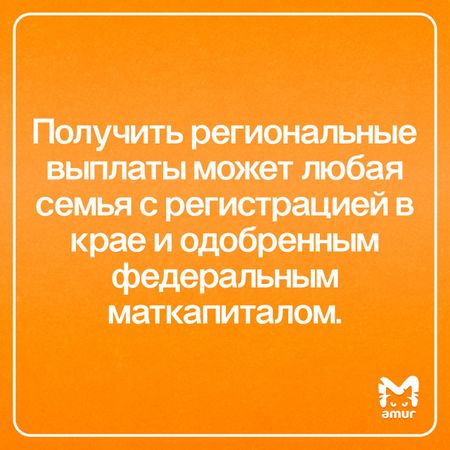Статистика использования материнского капитала семьями Хабаровского края