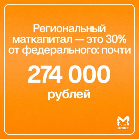 Статистика использования материнского капитала семьями Хабаровского края