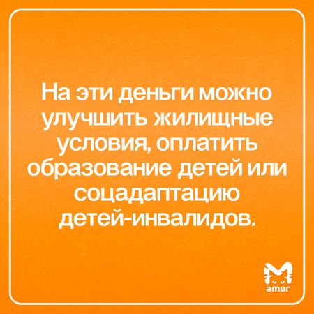 Статистика использования материнского капитала семьями Хабаровского края