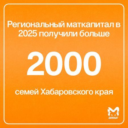 Статистика использования материнского капитала семьями Хабаровского края