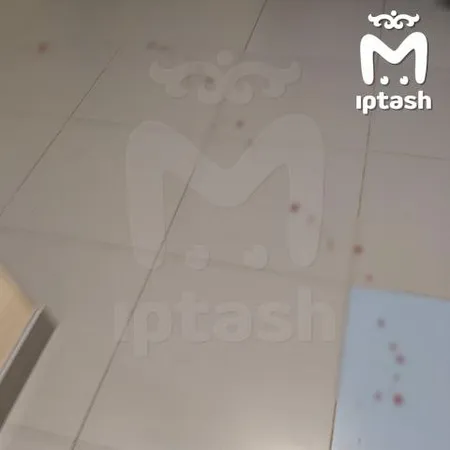 В Нижнекамске ученик с ножом напал на уборщицу школы