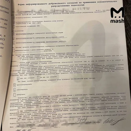 Вдовам бойцов СВО отказывают в процедуре ЭКО с замороженными эмбрионами