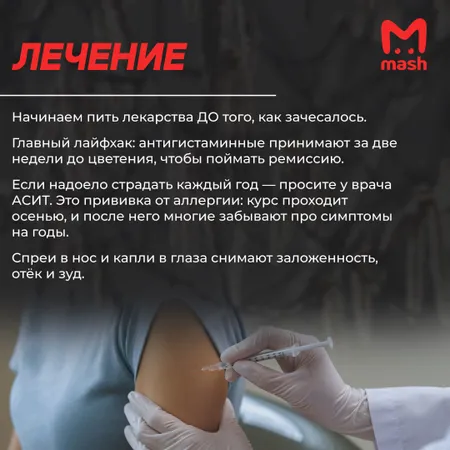 Ольха уже цветёт, берёза на подходе: аллергиков ждёт адская весна