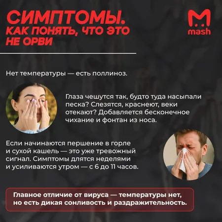 Ольха уже цветёт, берёза на подходе: аллергиков ждёт адская весна