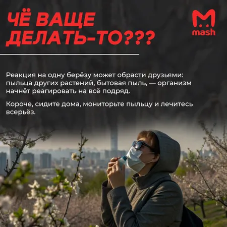 Ольха уже цветёт, берёза на подходе: аллергиков ждёт адская весна