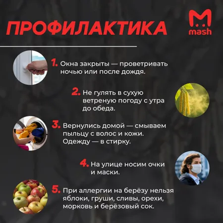 Ольха уже цветёт, берёза на подходе: аллергиков ждёт адская весна