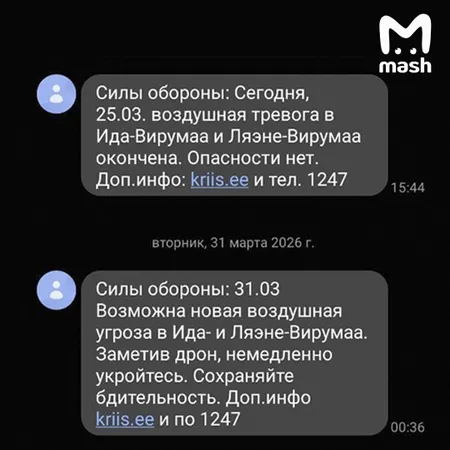 Жителям северных районов Эстонии прислали смс-предупреждения об "угрозе бецпилотников"