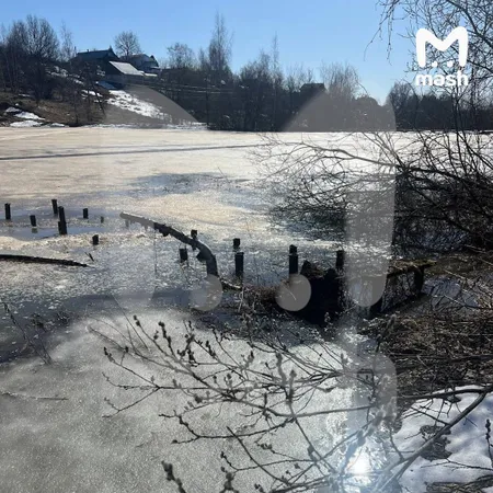 Ларисе Долиной грозит штраф и возмещение 100 млн рублей ущерба за загрязнение ручья в Подмосковье