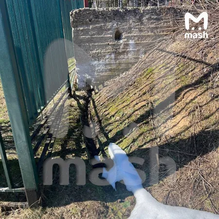 Ларисе Долиной грозит штраф и возмещение 100 млн рублей ущерба за загрязнение ручья в Подмосковье