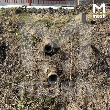 Ларисе Долиной грозит штраф и возмещение 100 млн рублей ущерба за загрязнение ручья в Подмосковье