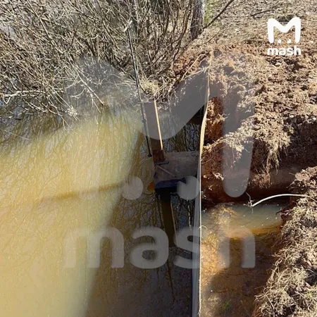 Ларисе Долиной грозит штраф и возмещение 100 млн рублей ущерба за загрязнение ручья в Подмосковье