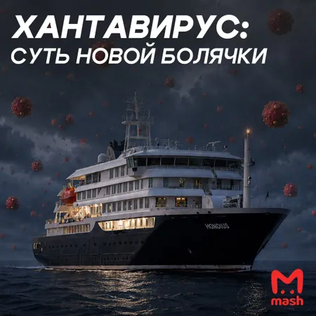 Хантавирус: что нужно знать о новой болезни